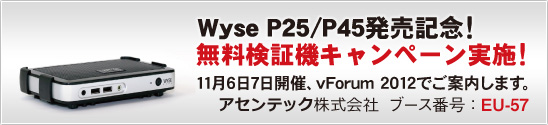 P25/45؊ݏoLy[