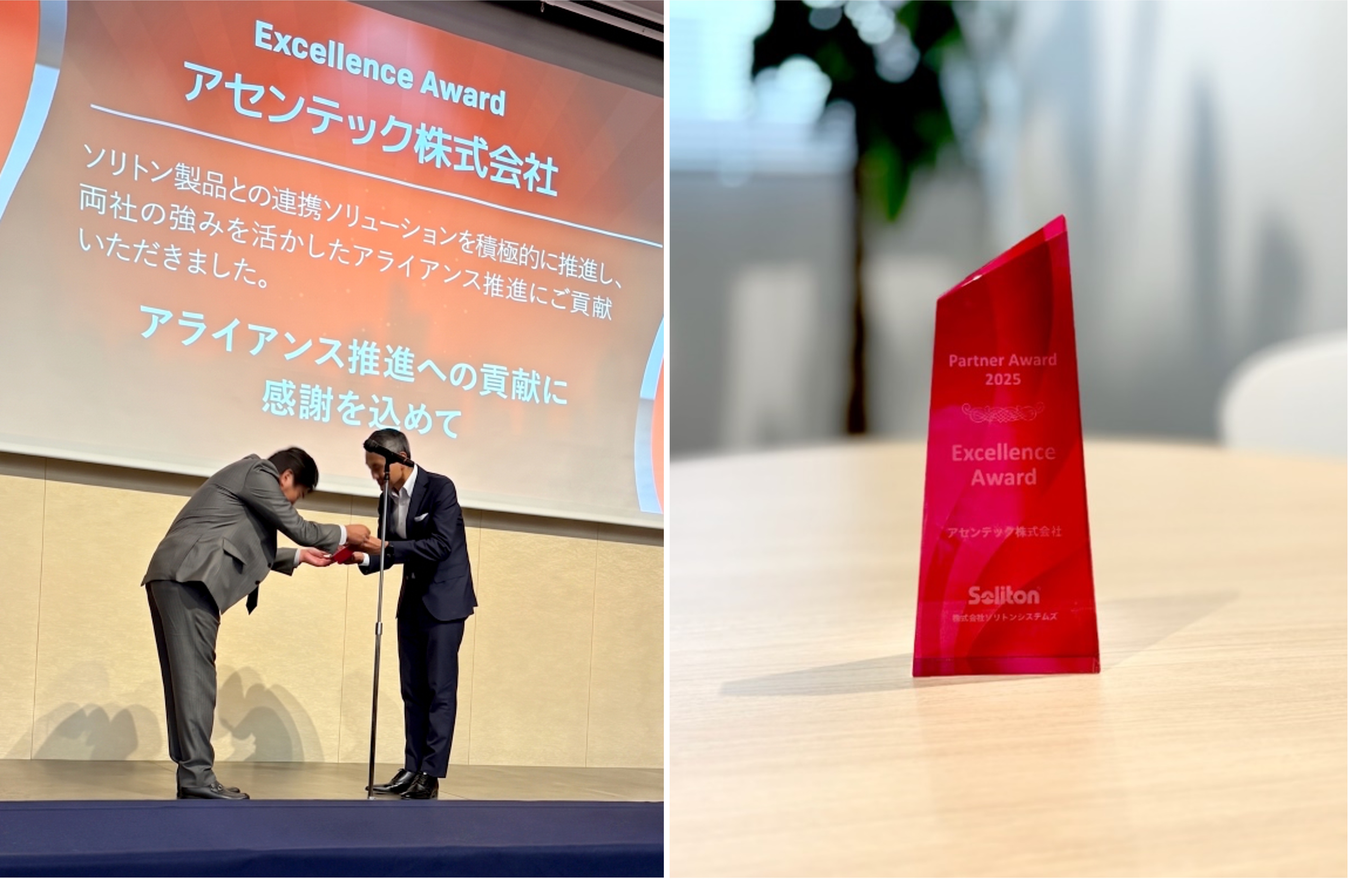 Partner Excellence Award���