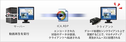 TCX Multimedia利用