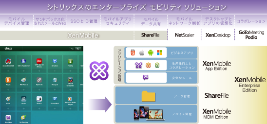 Endpoint Management概要