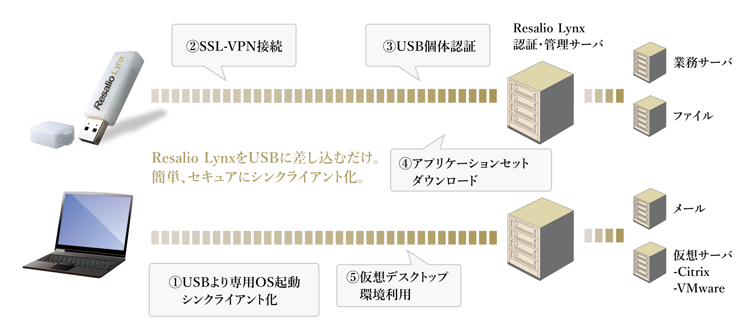 Resalio Lynx 500 システム構成図