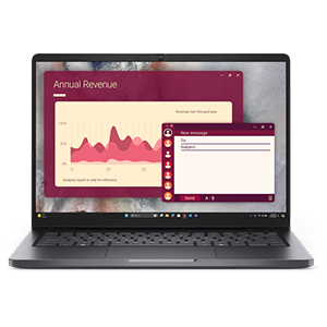 Dell Pro 14