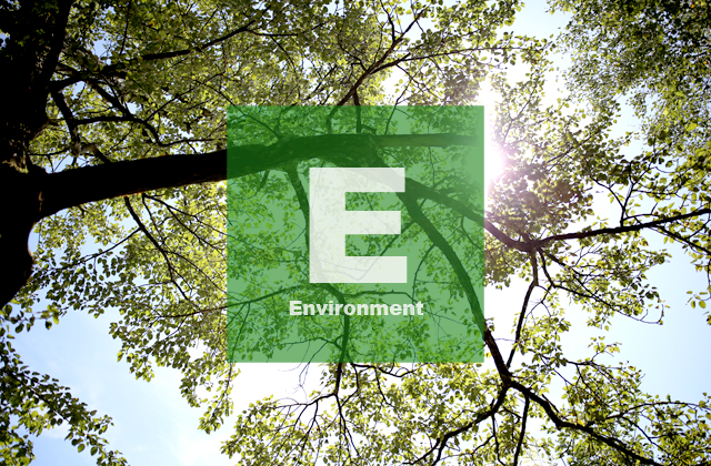 Environment
